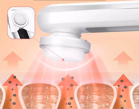 Newest Product Beauty Skin Care 2 in 1 Small Face Deep Cleansing Machine RF Devices